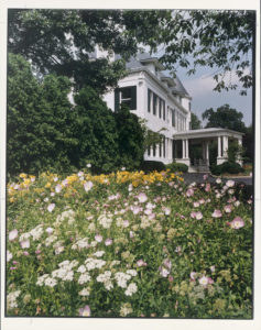 FULL BLOOM. The grounds of the residence include a healthy display of yellow Stella d’Oro daylilies and pink evening primroses. Number One Observatory Circle, the official home and residence of the Vice President of the United States. (Photographer: Oberto Gili). Text credit: Charles Denyer.