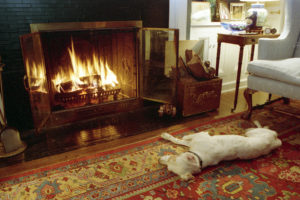 The Quayle's Canine: Chili, The Quayle's dog, warms up in front of the fireplace at Number One Observatory Circle, the official home and residence of the Vice President of the United States. Photographer: Steven Purcell. Text credit: Charles Denyer.